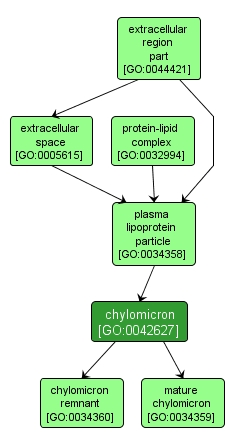 GO:0042627 - chylomicron (interactive image map)