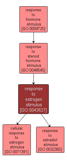 GO:0043627 - response to estrogen stimulus (interactive image map)
