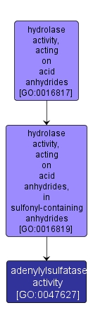 GO:0047627 - adenylylsulfatase activity (interactive image map)