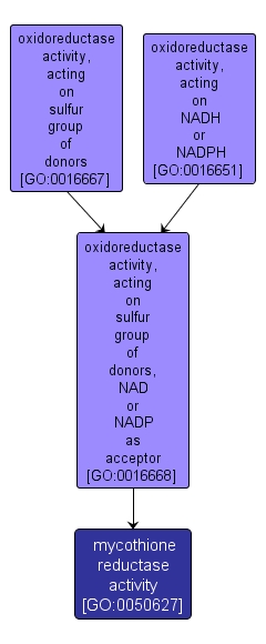 GO:0050627 - mycothione reductase activity (interactive image map)