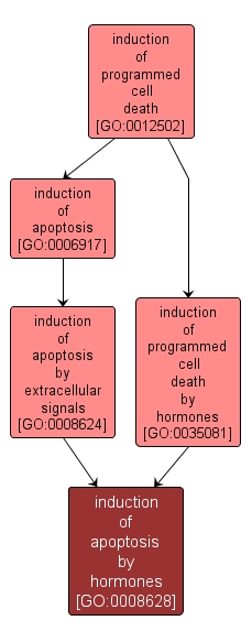 GO:0008628 - induction of apoptosis by hormones (interactive image map)