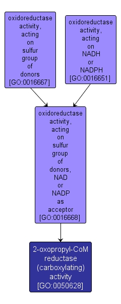 GO:0050628 - 2-oxopropyl-CoM reductase (carboxylating) activity (interactive image map)