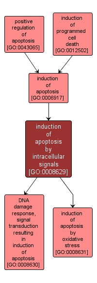 GO:0008629 - induction of apoptosis by intracellular signals (interactive image map)