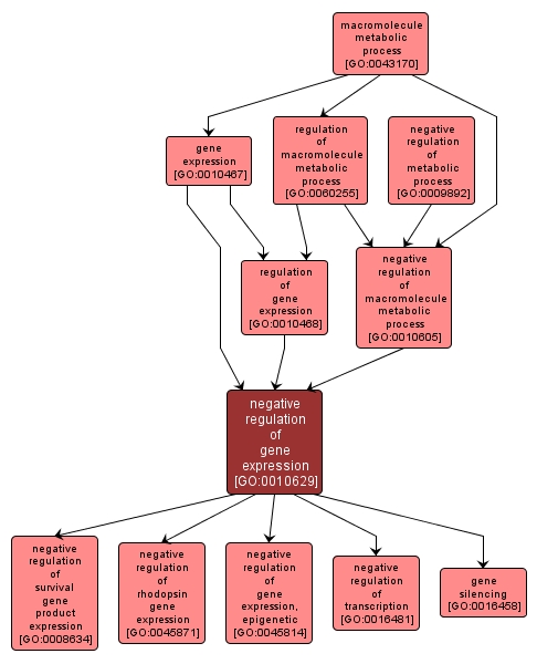 GO:0010629 - negative regulation of gene expression (interactive image map)