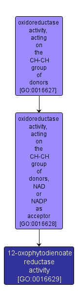 GO:0016629 - 12-oxophytodienoate reductase activity (interactive image map)