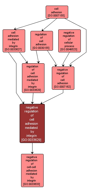 GO:0033629 - negative regulation of cell adhesion mediated by integrin (interactive image map)