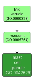 GO:0042629 - mast cell granule (interactive image map)