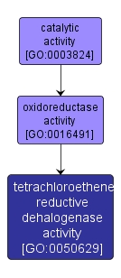 GO:0050629 - tetrachloroethene reductive dehalogenase activity (interactive image map)