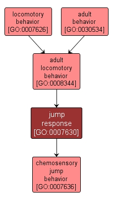 GO:0007630 - jump response (interactive image map)