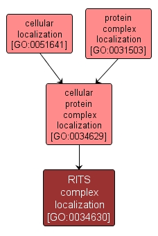GO:0034630 - RITS complex localization (interactive image map)