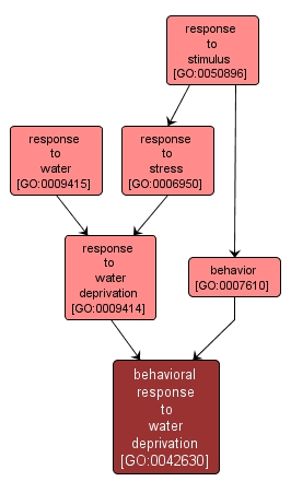 GO:0042630 - behavioral response to water deprivation (interactive image map)