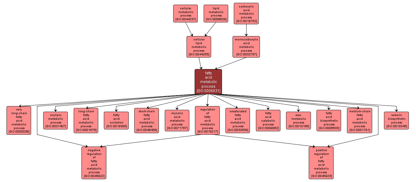 GO:0006631 - fatty acid metabolic process (interactive image map)