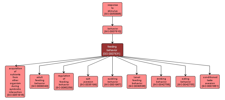 GO:0007631 - feeding behavior (interactive image map)