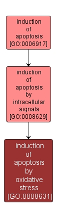 GO:0008631 - induction of apoptosis by oxidative stress (interactive image map)