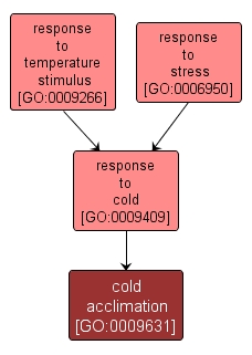 GO:0009631 - cold acclimation (interactive image map)