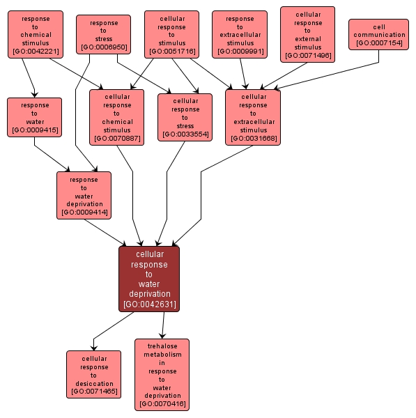 GO:0042631 - cellular response to water deprivation (interactive image map)