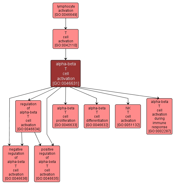 GO:0046631 - alpha-beta T cell activation (interactive image map)