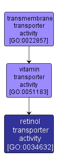GO:0034632 - retinol transporter activity (interactive image map)