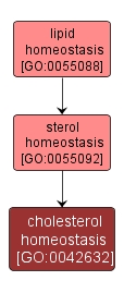 GO:0042632 - cholesterol homeostasis (interactive image map)