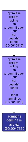 GO:0047632 - agmatine deiminase activity (interactive image map)