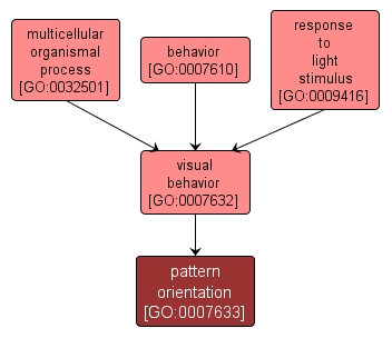 GO:0007633 - pattern orientation (interactive image map)