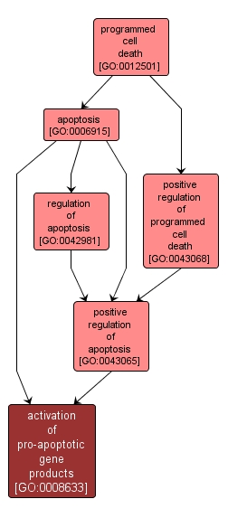 GO:0008633 - activation of pro-apoptotic gene products (interactive image map)