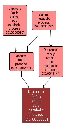 GO:0030633 - D-alanine family amino acid catabolic process (interactive image map)