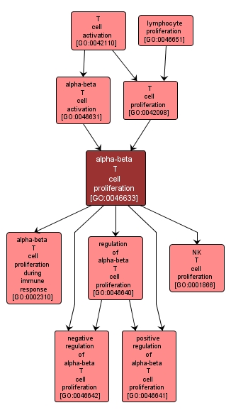 GO:0046633 - alpha-beta T cell proliferation (interactive image map)