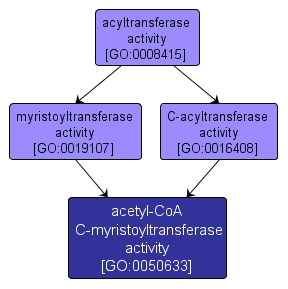 GO:0050633 - acetyl-CoA C-myristoyltransferase activity (interactive image map)