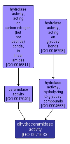 GO:0071633 - dihydroceramidase activity (interactive image map)