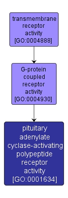 GO:0001634 - pituitary adenylate cyclase-activating polypeptide receptor activity (interactive image map)