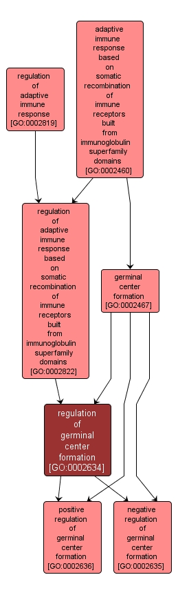 GO:0002634 - regulation of germinal center formation (interactive image map)