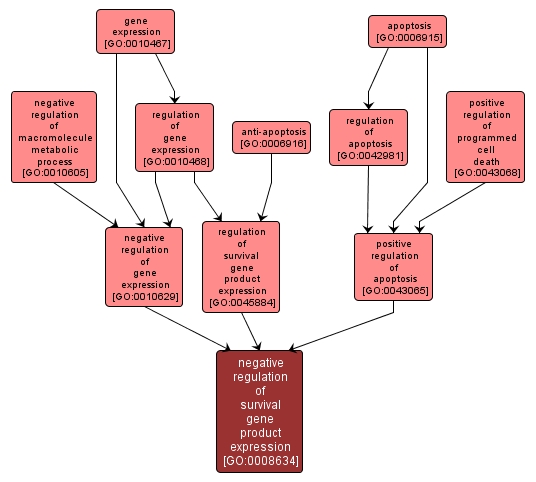 GO:0008634 - negative regulation of survival gene product expression (interactive image map)