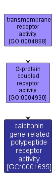 GO:0001635 - calcitonin gene-related polypeptide receptor activity (interactive image map)
