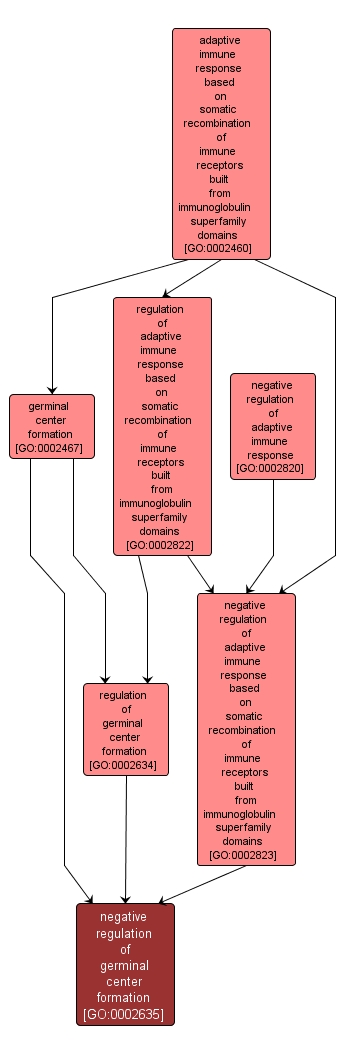GO:0002635 - negative regulation of germinal center formation (interactive image map)