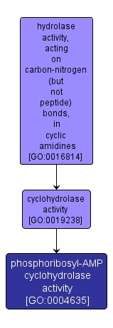 GO:0004635 - phosphoribosyl-AMP cyclohydrolase activity (interactive image map)