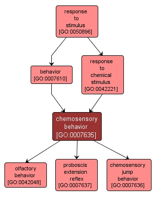 GO:0007635 - chemosensory behavior (interactive image map)