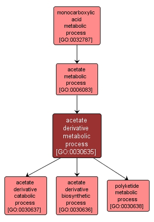 GO:0030635 - acetate derivative metabolic process (interactive image map)