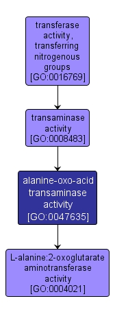 GO:0047635 - alanine-oxo-acid transaminase activity (interactive image map)