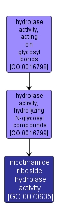 GO:0070635 - nicotinamide riboside hydrolase activity (interactive image map)