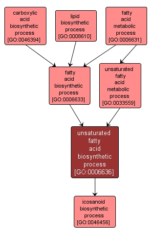 GO:0006636 - unsaturated fatty acid biosynthetic process (interactive image map)