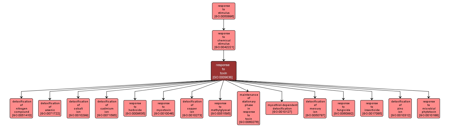 GO:0009636 - response to toxin (interactive image map)