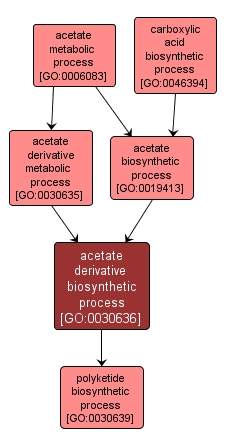 GO:0030636 - acetate derivative biosynthetic process (interactive image map)