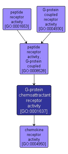 GO:0001637 - G-protein chemoattractant receptor activity (interactive image map)