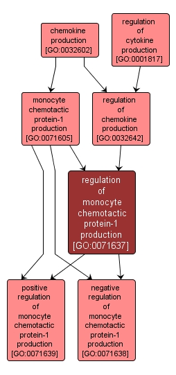 GO:0071637 - regulation of monocyte chemotactic protein-1 production (interactive image map)