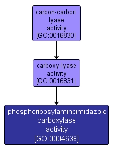GO:0004638 - phosphoribosylaminoimidazole carboxylase activity (interactive image map)