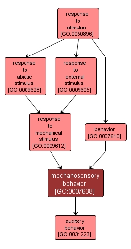 GO:0007638 - mechanosensory behavior (interactive image map)