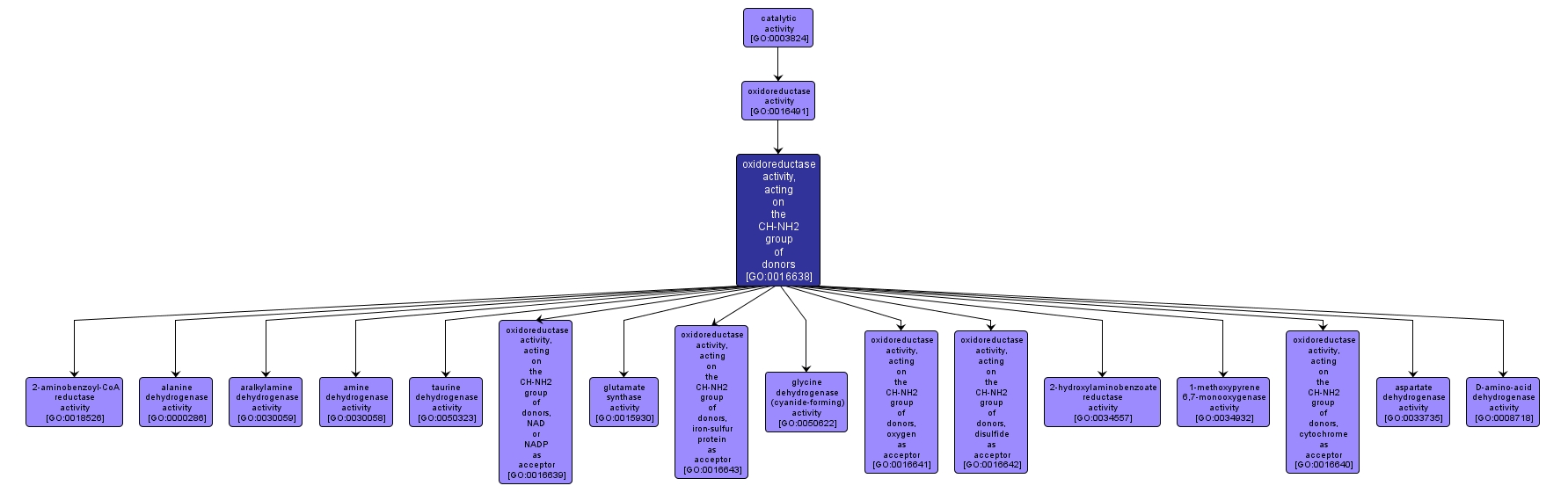 GO:0016638 - oxidoreductase activity, acting on the CH-NH2 group of donors (interactive image map)