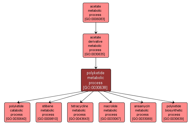 GO:0030638 - polyketide metabolic process (interactive image map)