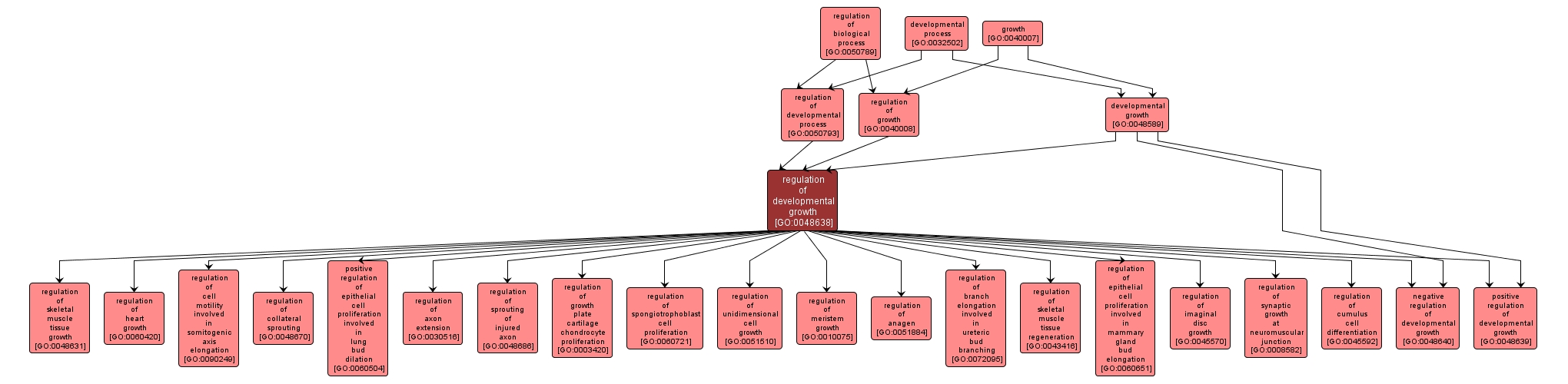 GO:0048638 - regulation of developmental growth (interactive image map)